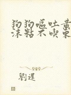 狗狗呕吐黄水泡沫粘不吃东西