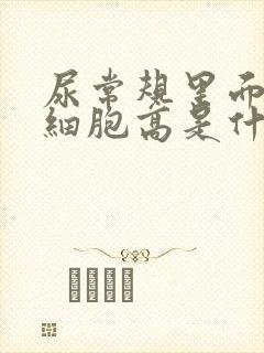 尿常规里面的白细胞高是什么原因