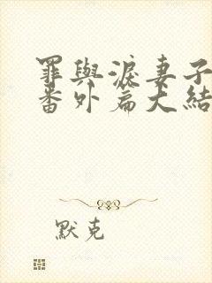 罪与泪妻子金娜番外篇大结局