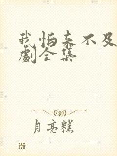 我怕来不及电视剧全集