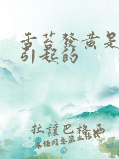 舌苔发黄是怎么引起的