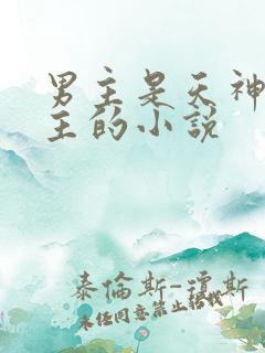 男主是天神殿殿主的小说