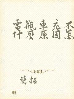 电瓶车充不进电什么原因怎么解决