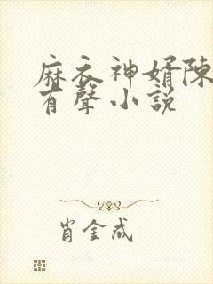 麻衣神婿陈黄皮有声小说