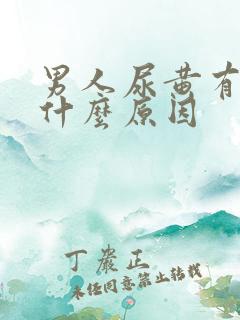 男人尿黄有沫是什么原因