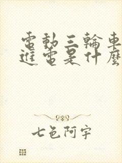 电动三轮车充不进电是什么原因