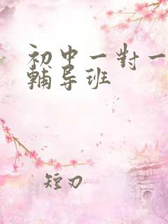 初中一对一地理辅导班