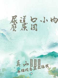 尿道口小肉粒什么原因