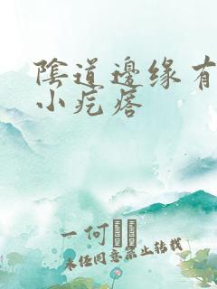 阴道边缘有许多小疙瘩