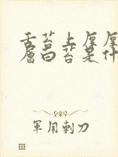 舌苔上厚厚的一层白苔是什么原因