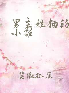 男主姓柏的总裁小说