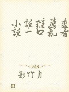 小说推荐爽文小说一口气看完