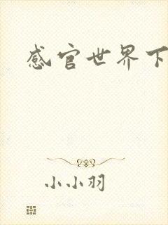 感官世界下载