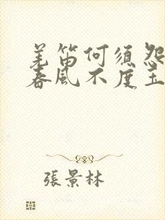 羌笛何须怨杨柳春风不度玉门关表达