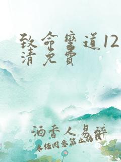 致命弯道12高清免费