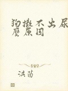 狗撒不出尿了什么原因