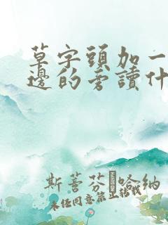 草字头加一个旁边的旁读什么字