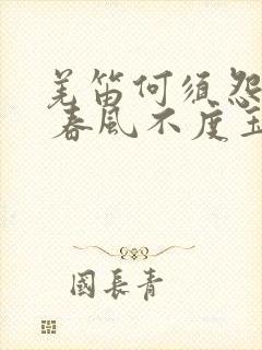 羌笛何须怨杨柳 春风不度玉门关修辞