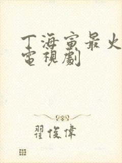 丁海寅最火十部电视剧