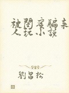 被闺蜜骗来给黑人玩小说