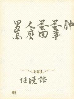 男人蛋蛋肿了是怎么回事