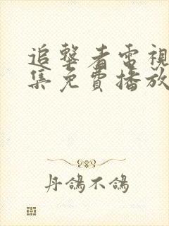 追击者电视剧全集免费播放高清