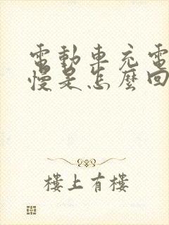 电动车充电充的慢是怎么回事