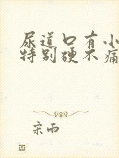 尿道口有小疙瘩特别硬不痛不痒