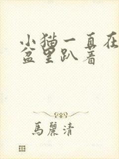 小猫一直在猫砂盆里趴着