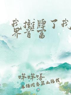 我摊牌了我是世界首富