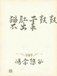 猫肚子鼓鼓的尿不出来