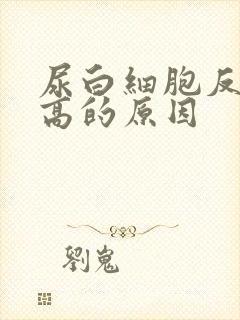 尿白细胞反复升高的原因