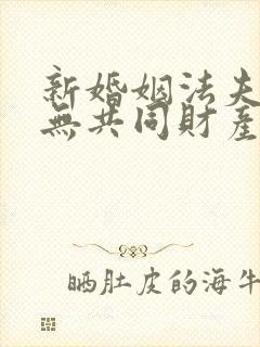 新婚姻法夫妻再无共同财产的规定