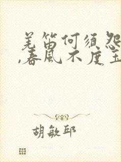 羌笛何须怨杨柳,春风不度玉门关表达的情感