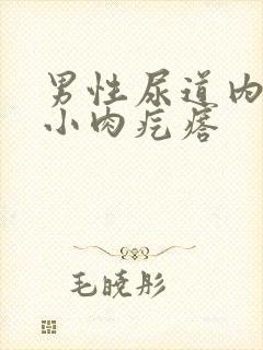 男性尿道内长有小肉疙瘩