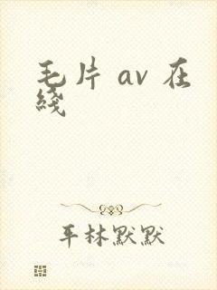 毛片 av 在线