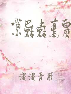 嘴巴上有白色的小点点怎么回事