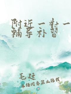 附近一对一上门辅导补习