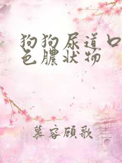 狗狗尿道口有白色脓状物