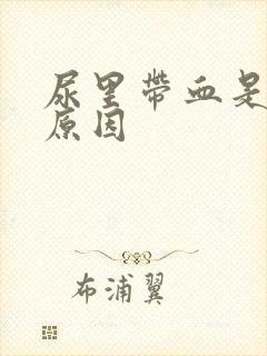 尿里带血是什么原因