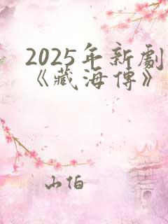 2025年新剧《藏海传》