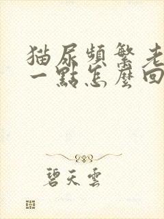 猫尿频繁老是尿一点怎么回事