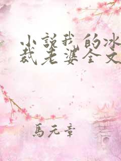 小说我的冰山总裁老婆全文阅读