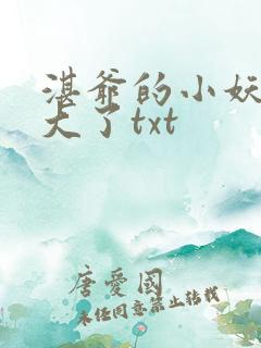 湛爷的小妖精长大了txt