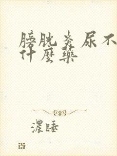 膀胱炎尿不净吃什么药