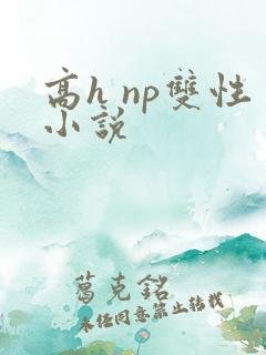 高h np双性小说