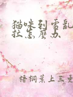 猫咪到处乱尿乱拉怎么办