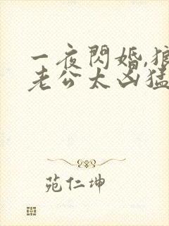 一夜闪婚,狼性老公太凶猛结局