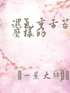 湿气重舌苔是怎么样的