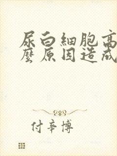 尿白细胞高是什么原因造成的